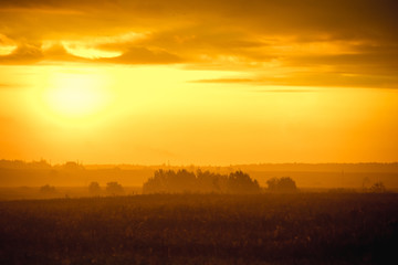 Naklejka na ściany i meble Morning summer foggy dawn in the field. Summer landscape. The sun is waking up. The sky and the sun. Golden sky. The lights of a sun. Golden dawn.