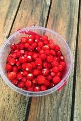 Wild strawberries on table.