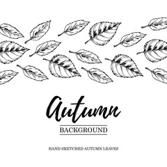 Hand drawn autumn design with falling leaves. Vector illustration in sketch style isolated on white.