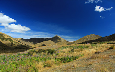 Fototapeta na wymiar Beautiful Scenery And Landscape In New Zealand