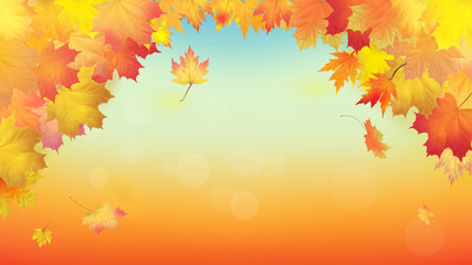 Naklejka na ściany i meble Maple leaves vector, autumn foliage. Background pattern