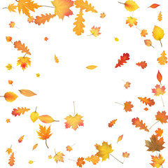 Autumn background with golden autumn leaves. Vector.