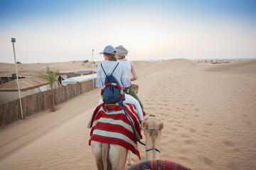 riding the camel in desert, nature