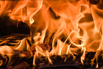 Burning wood in a pizza oven