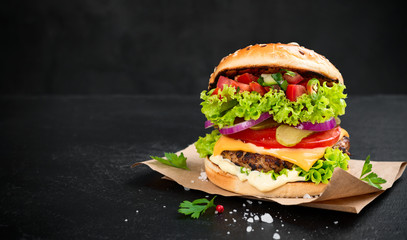 Delicious fresh homemade burger with salsa sauce.