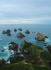 Beautiful Landscape of Nugget Point New Zealand