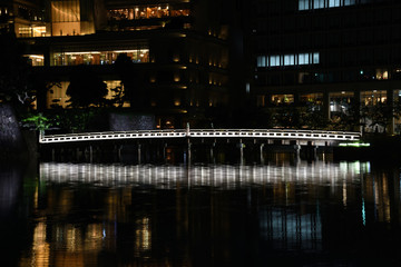 The Night View Of Tokyo Japan. Lighted Bridge Over River.