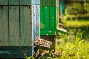 Closeup of handmade apiary in the summer garden