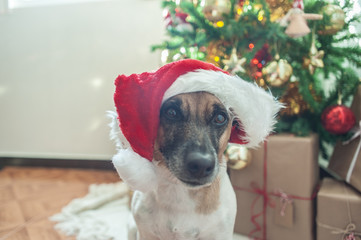 Jack en Navidad