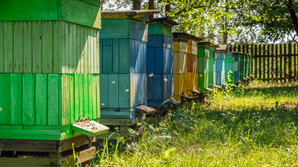 Handmade beehives in summer sunny day, Europe