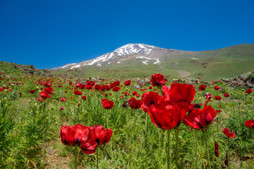 Mount Damavand 5.671 m (Iran)