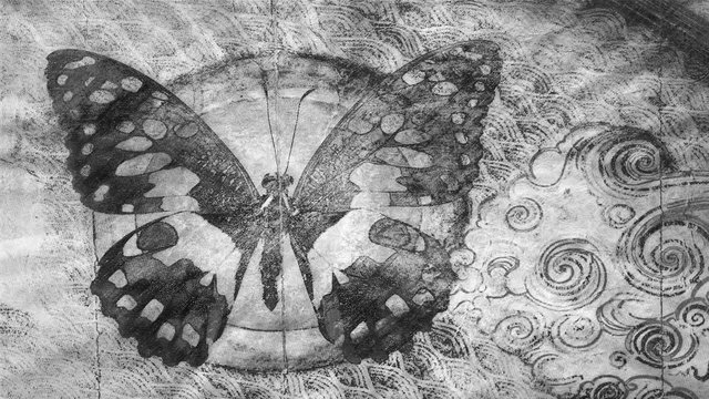 grunge butterfly background