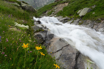 Mountain waterfall experience in Alps