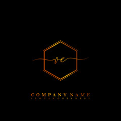 Fototapeta na wymiar VE Initial luxury handwriting logo vector