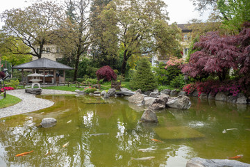 Fototapeta na wymiar Beautiful fresh japanese style garden with pond for background and copy space