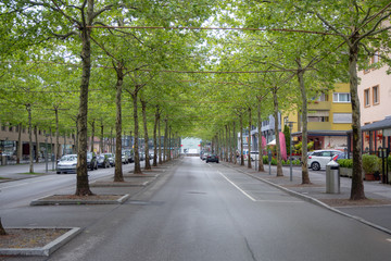Beautiful scene of  street with fresh green trees and colorful buildings in Interlaken for background and copy space