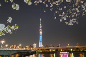 Tokyo Sky Tree