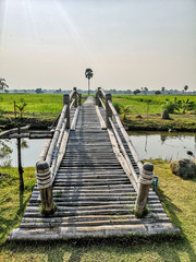 wooden bridge in the garden.