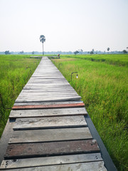 path to see point of view.