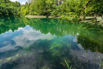 Azure coloured lake with reed growing along the shore deep in the dense forest of the Plitvice Lakes National Park in Croatia