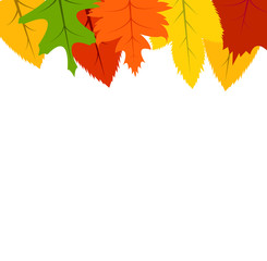 Naklejka na ściany i meble autumn, leaves, background expand icon on white background