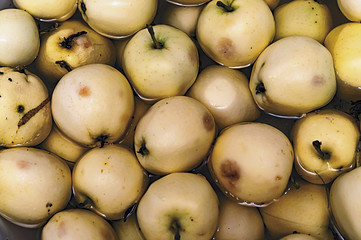 background with yellow autumn apples in the water