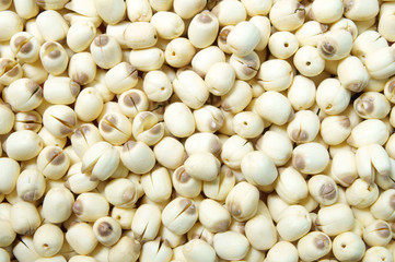 Lotus seeds background