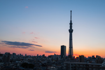 Fototapeta na wymiar Tokyo Sky Tree