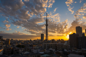 TokyoSkyTree