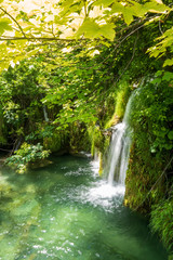 Fototapeta na wymiar The pure fresh water of a small creek cascades into the azure coloured crystal clear water of a pond at the Plitvice Lakes National Park in Croatia