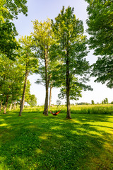 hanging between trees in the park