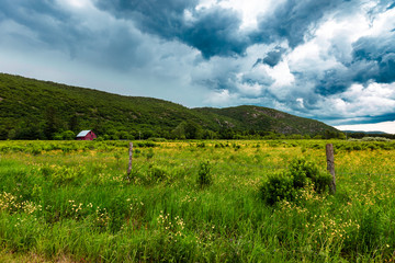 Cabin in farm
