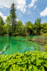 Stunning landscape with azure coloured lakes hidden in the wilderness of the Plitvice Lakes National Park in Croatia