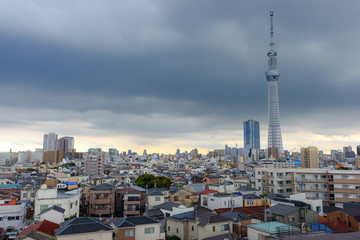 Fototapeta premium Tokyo sky tree