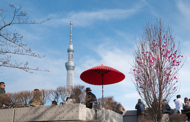 Tokyo Sky Tree