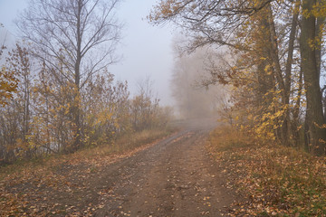 Fototapeta premium A quiet autumn dawn over the lake in sunlight. Fresh fog creeps over the ground.