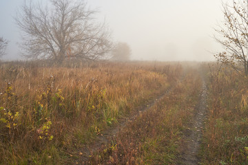 A quiet autumn dawn over the lake in sunlight. Fresh fog creeps over the ground.