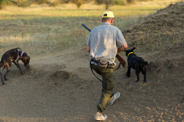 Hunting period, autumn season open. A hunter with a gun in his hands in hunting clothes in the autumn forest in search of a trophy. A man stands with weapons and hunting dogs tracking down the game.	