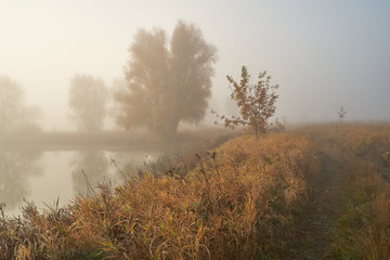 Fototapeta na wymiar A quiet autumn dawn over the lake in sunlight. Fresh fog creeps over the ground.