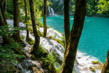 Fototapeta premium Rushing water cascades down the natural barriers into the crystal clear and azure coloured Lake Milanovac at the Plitvice Lakes National Park, Croatia