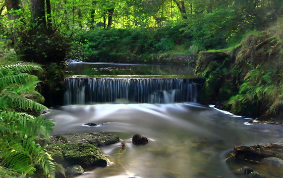 A color image of a waterfall on the spillway of Cannop Pond in the Forest of Dean, Gloucester county, England.