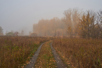 Obraz premium A quiet autumn dawn over the lake in sunlight. Fresh fog creeps over the ground.