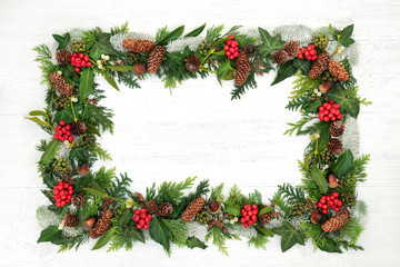 Natural winter and Christmas background border with holly and a variety of flora and fauna on...