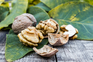 Walnut kernels and whole walnuts lie next to green leaves on a rustic old wooden table.