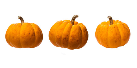 pumpkin halloween on white background