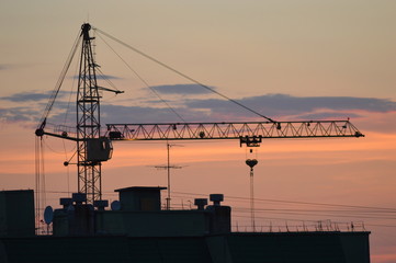 Obraz premium cranes at sunset