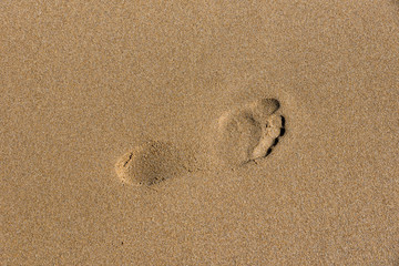 Footprints on the shore of the sea