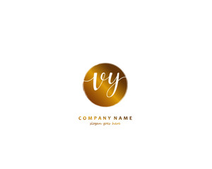  VY Initial handwriting logo vector