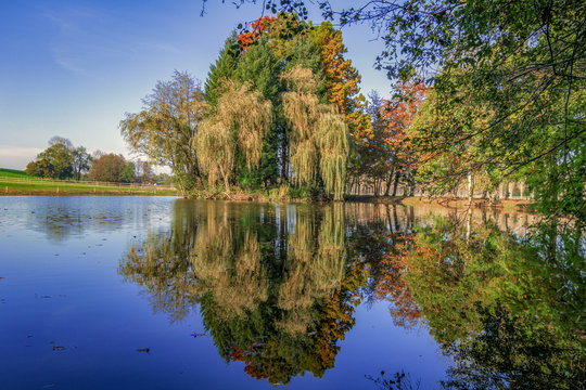 La Dombes en automne.