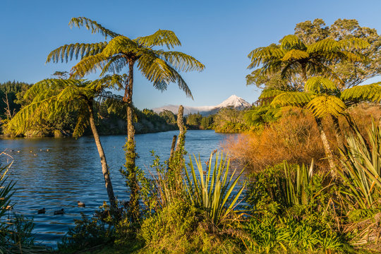 Snow covered Mount Taranaki viewed from Lake Mangamahoe. Also known as Mount Egmont this dormant volcano is located in the Taranaki District of the North Island of New Zealand.